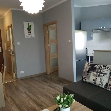 Apartament Edelmana Διαμέρισμα Gorzów Wielkopolski Εξωτερικό φωτογραφία