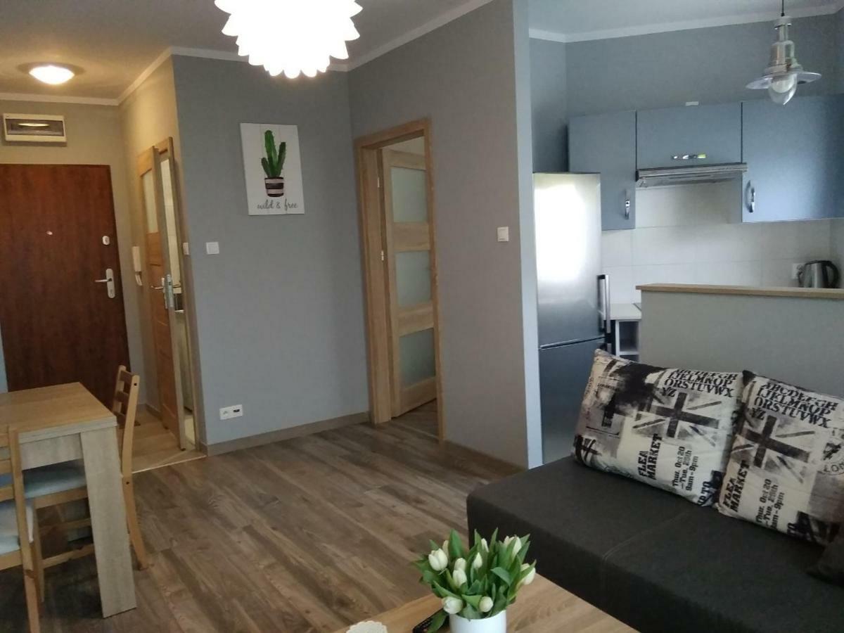 Apartament Edelmana Διαμέρισμα Gorzów Wielkopolski Εξωτερικό φωτογραφία
